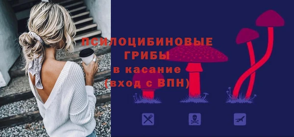 прущие грибы Арсеньев