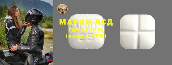 прущие грибы Арсеньев