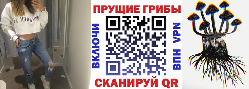 Галлюциногенные грибы мицелий Сальск