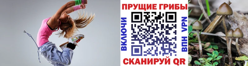 наркошоп  Сальск  Галлюциногенные грибы Cubensis 
